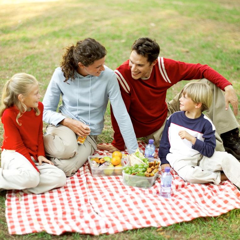 picnic